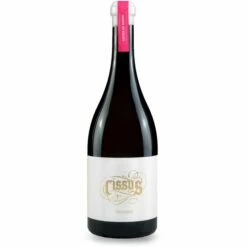 Cissus Latina De Barro