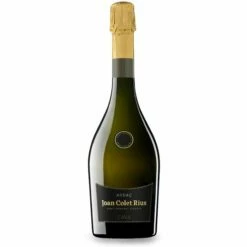 Joan Colet Rius Audaç