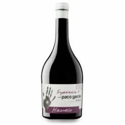 Experiencia 5 De Paco García Mazuelo