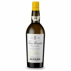 Alvear 3 Miradas Cerro Franco